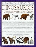 Image de ENC.ILUST.DINOSAURIOS Y ANIMALES PREHIST. (GUIAS DEL NATURALISTA-DINOSAURIOS)