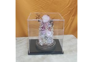 CEET Trasparente acrilico Display Case Box, Versatile Collectibles Display Vetrina antipolvere con base di ispessimento, per Display Action Figures Home Storage Organizing Toys (6x6x10inch/15x15x25cm)