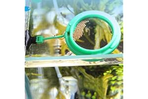 AMONIDA Fischfutterring, Fisch Futterring Aquarium Feeder Fisch-Futterspender für Aquarium Runder Guter Auftrieb Aquarium Feeding Ring Halten Sie das Wasser für Fische Fischtank Sauber (Grün)