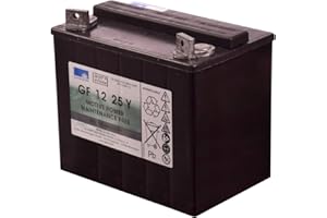 TECHKAR Sonnenschein GF 12 25V Gel Batteria 12V 25Ah Batteria Industriale 700 cicli