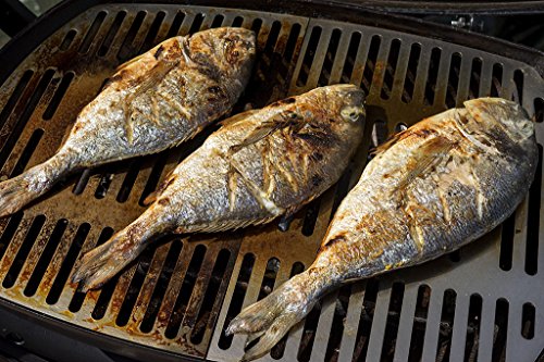 Edelstahl Grillrost/Ersatzrost passend für alle Grills der Weber Q300 und Q3000 Baureihe - 4