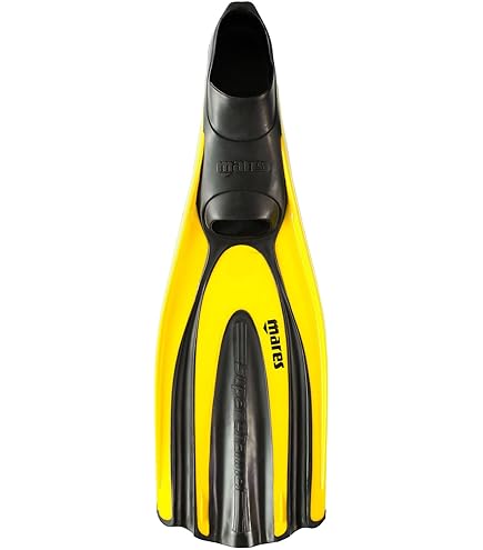 Palmes Mares Plana Avanti X3 Près De Paris