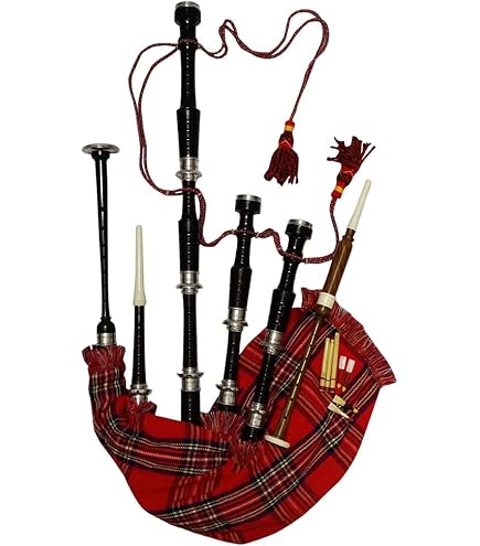 Cornamusa Giocattolo Per Bambini SHYNE KILTS - Legno, Motivo Scozzese, Do Maggiore - Foto 9