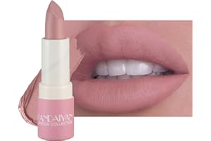 BELIKY GIRL Rouge à lèvres mat imperméable à l'eau longue durée hydratant rouge à lèvres Sexy rouge rose velours Nude rouges à lèvres femmes cosmétiques rouge à lèvres (Gris rosé pâle)