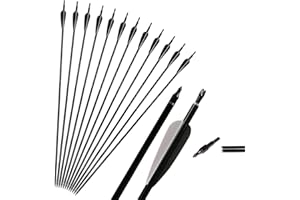 Huntingdoor 12 Pcs 31" Aluminium Arrows Archery Hunting Arrow with Removable Tips Target Practice Arrows for Compound Bow Recurve Bow Longbow