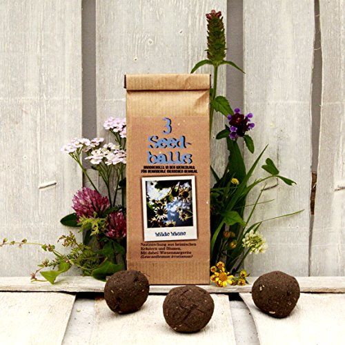 Seedballs Wilde Wiese 3er