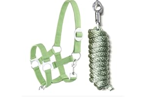 JA HORSE Cabestro juego de punto guía con gancho de pánico ajustable Cabestro caballo caballo de madera Anbindestrick (gancho de pánico verde, pony)