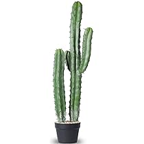 AntHousePlant Kunstmatige Cactus Nep Grote Cactus 36 Inch Faux Cactussen  Planten voor Thuis Tuin Kantoor Winkel Decoratie : Amazon.nl: Wonen & keuken