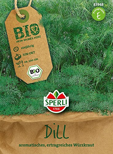 Dill - Bio-Dill Tetra-Dill Goldkrone - Bio-Saatgut von Sperli-Samen
