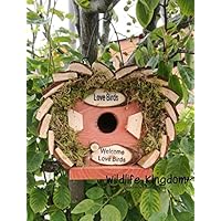 Suchergebnis Auf Amazon De Fur Rotkehlchen Nistkasten Nicht