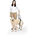 PetSafe Rear Support Harness - Lifting aid with handle - Great for pet mobility and older dogs - Comfortable, breathable material - Easy to adjust - Large, CareLift