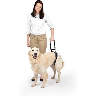 Pettorina Addestramento Cani - Imbracatura Sports Animali Harness Taglia Unica