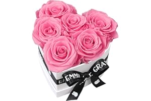 EG EMMIE GRAY Classic Infinity Rosenbox | Herz | Weiß – Traumhafte Infinity Rosen, 1-3 Jahre haltbare Rosen, Flowerbox mit echten, konservierten Rosen, edle Premiumrosen (S, Baby Pink)