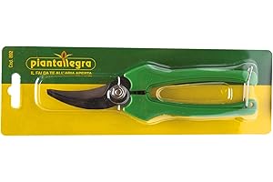 PARDINI Piantallegra - Forbici da frutto Lux per Vendemmia, Lama di Acciaio forgiato e Impugnatura Rivestita di ABS, Ideale per UVA e Frutta