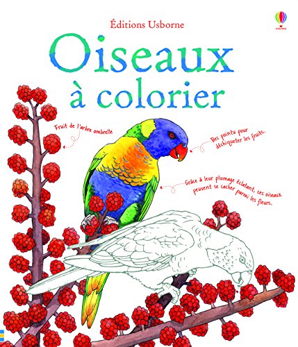 Oiseaux à colorier en ligne Oiseaux à colorier en ligne