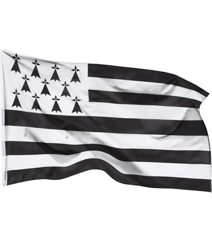 fanion mini drapeau pays voiture decoration souvenir blason montpellier 34