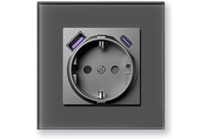 BSEEDLIFE Enchufe Pared,Enchufe Pared con USB/USB-C Normas Europeas Schuko,86 * 86mm 1 Gang 16A,Carga Rápida de 20 W,Marco de Cristal,Fácil Instalación,Gris