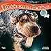 Produktbild Underwater Puppies – Welpen unter Wasser 2019 - 16-Monatskalender (Wall-Kalender)