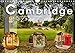 Produktbild Cambridge street view (Wandkalender 2018 DIN A4 quer): Cambridge - Hauptstadt der Grafschaft Cambridgeshire im Osten von England – in zauberhafte ... ... Orte) [Kalender] [Apr 10, 2017] Schöb, Monika