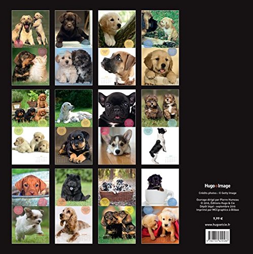 Book's Cover of Calendrier mural Chiots 2017