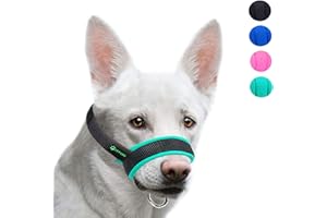 Muselière ILEPARK pour Chiens, Tissu Vert, Taille M