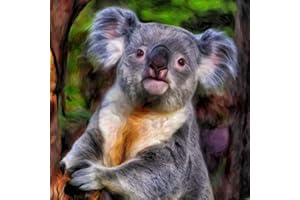 Meecaa Malen nach Zahlen, Koala-Tiere, Set für Erwachsene, Anfänger, DIY-Ölgemälde, 40,6 x 50,8 cm (Koala, ohne Rahmen)