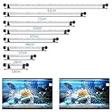 Adopte un número de LED súper brillante, ahorro de energía, larga vida, fiebre baja. Aplique a tanques de pesca, cisternas, jaulas para roqueros y otros, anfibios.