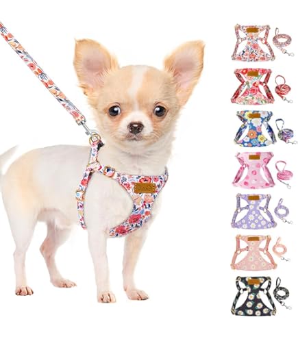 Hundegeschirr Mit Strass & Fliege – Reflektierend, Verstellbar, Für Kleine Bis Mittlere Hunde, Rosa Größe S