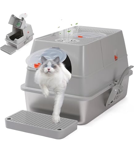 Lettiera Per Gatti Chiusa XXL In Acciaio Inox - 62x41x42cm, 100L, Con Tappetino E Pala, Antiodore, Facile Da Pulire