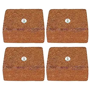 GATE GARDEN 1 kg Cocopeat Brick - Expands to 4 Kg Powder (Set of 4)