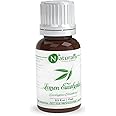 Naturalis Essence of Nature Lemon Eucalyptus (Eucalyptus Citriodora) for Dandruff and Mosquito repellent - 15ml