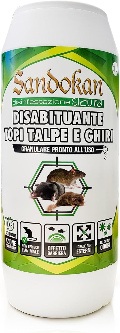 Vue 10