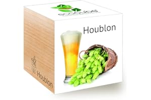 Feel Green Ecocube Houblon, Idée Cadeau (100% Ecologique), Grow-Your-Own/Kit Prêt-à-Pousser, Plantes Dans Des Cubes En Bois 7.5cm, Produit En Autriche