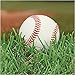 Baseball Fanatic Lunch Napkins (18 ct) RS.924.00
