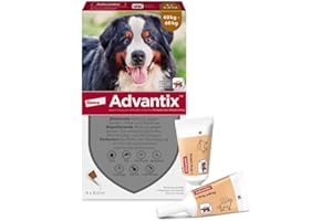 Elanco ADVANTIX spot-on XXL for very large dogs from 40 kg to 60 kg against ticks, sand mosquitoes, mosquitoes, biting flies and fleas: effect up to 4 weeks, 4 pipette pack