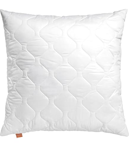 Flowen Federe Cuscini Divano 45x45 Set da 2 Copricuscini Decorativi 100