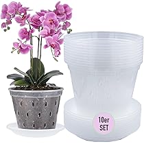 BBTISG 5 Vasi Trasparenti per Orchidee, Trasparenti Vasi in Plastica con Fori di Drenaggio per Balcone Interno ed Esterno (10 cm