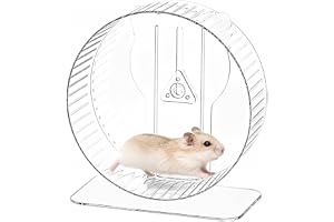 Hamsterhjul 23,6 cm – Tyst – Hamsterleksak | Halkfritt hamsterhjul – Justerbar höjd – I transparent akryl – För möss och små husdjur