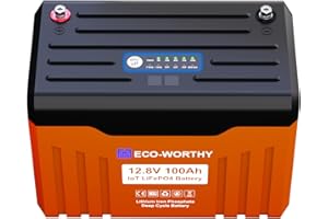 ECO-WORTHY 12V 100AH Bluetooth LiFePO4 Lithium Battery with Battery Status Display, 100A BMS with Low-Temp Protection, for RV,Solar Off-Grid,Home Energy, Camping, Trolling Motor,Campervan,Boat