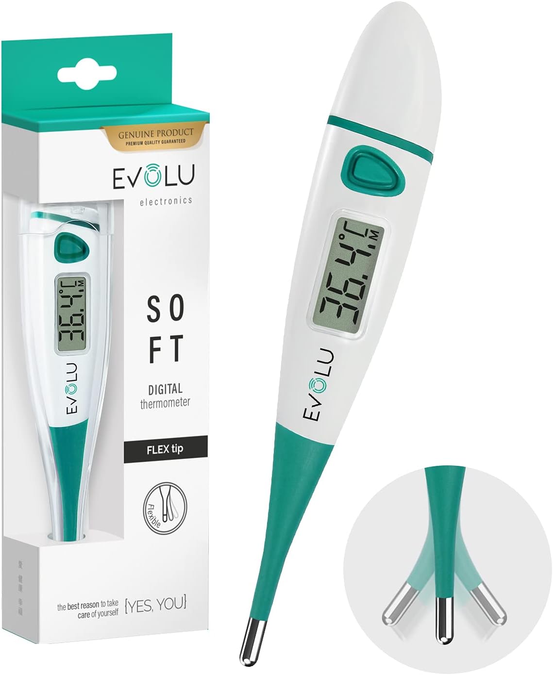 Vue 5
