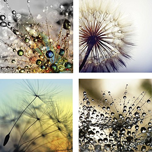 Artland Leinwand-Bild-Druck Wandbild Canvas fertig aufgespannt auf Holzfaserplatte Chepkosupertramp8 ,A.L. Rasmussen agika7 Natur Pusteblume Sonnenuntergang Nahaufnahme Löwenzahn Blumen Fotografie