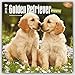 Golden Retriever Puppies 2016 - Golden Retriever - Welpen - 18-Monatskalender mit freier DogDays-App: Original BrownTrout-Kalender [Mehrsprachig] [Kalender] (Wall-Kalender) by 