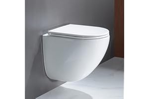 Casta Diva WC (CD-DT001)