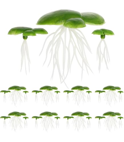 bio pflanztöpfe Bio Schnittknoblauch (Allium tuberosum) main image 1