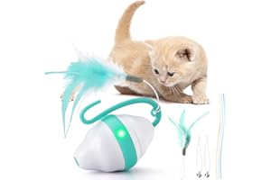 Pidsen Giochi Gatto Interattivo Palla, Giocattolo Gatto Palla Automatica per Gatti con Luci a LED, 2 Modalità Velocità,Rotazione Automatica 360 Gradi e Ricaricabile USB (2022 Versione)