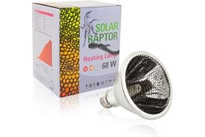 SolarRaptor SOLAR RAPTOR Heating Lamp, 60 Watt, mit Schutzgitter, Heizstrahler für Terrarien, für E27 Fassung, Wärmelampe für Reptilien