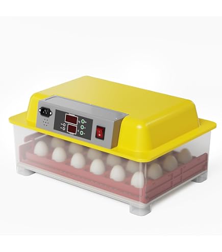 Couveuse Oeufs Automatique 15 Œufs - Température Contrôlée Avec Retournement Et Humidification Auto Pour Caille Canard Poule