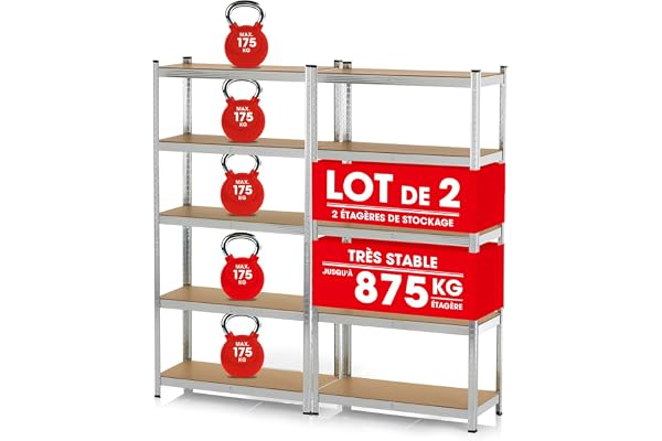 EASYmaxx Etagère pour Charges Lourdes, Set de 2, 180x90x40cm | 1750kg de Charge, 175kg par Niveau | Etagère & établi | Etagère de Stockage, étagère de Cave | 10 étagères réglables pour Plus d'espace