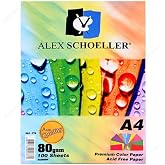 ALEX SCHOELLER A.FTK.KGT.450.01 A4 100 ورق تصوير ملون مختلط - 779