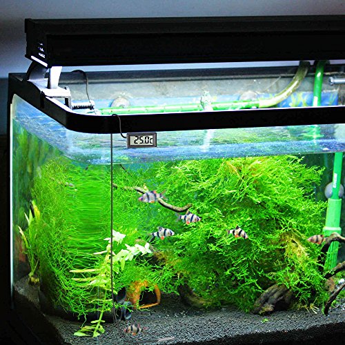 eSky24 Mini- Batteriebetriebenes Digitalthermometer mit LCD-Display für Aquarium, Terrarium, Kühl- und Gefrierschrank usw., 2m Anschlussleitung - 7